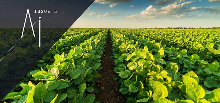 Nông nghiệp thời AI: Cuộc cách mạng hướng đến mục tiêu bền vững